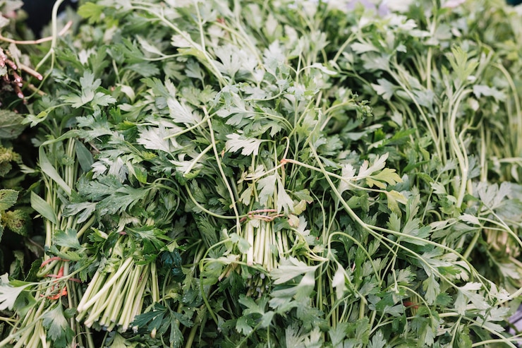 Free Photo full frame of freshly parsley herb