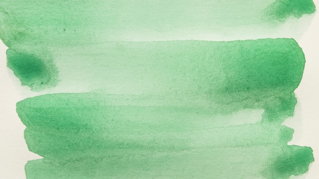 Full frame of green brush stroke against white background