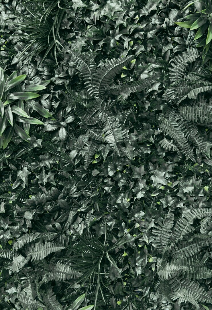 Free Photo full frame of green plants