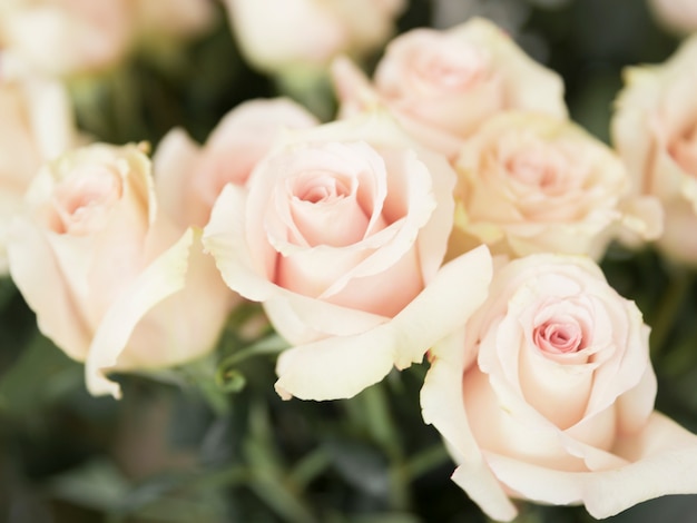 Free photo full frame of pink roses