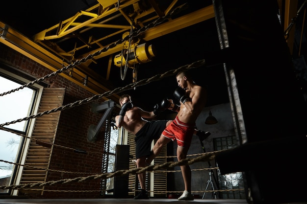 Full length portrait of two male kickboxers sparring inside boxing ring in modern gym: man in black trousers kicking his opponent in red shorts. Training, workout, martial arts and kickboxing concept