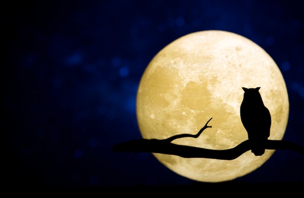 Бесплатное фото Полная луна в ночном небе