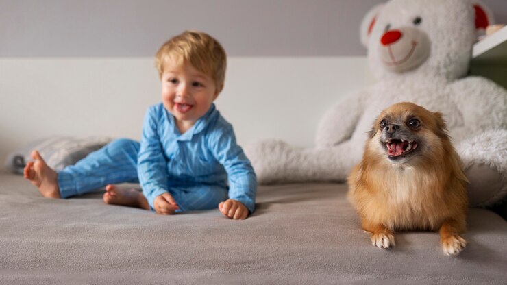 Free Photo full shot boy playing with dog