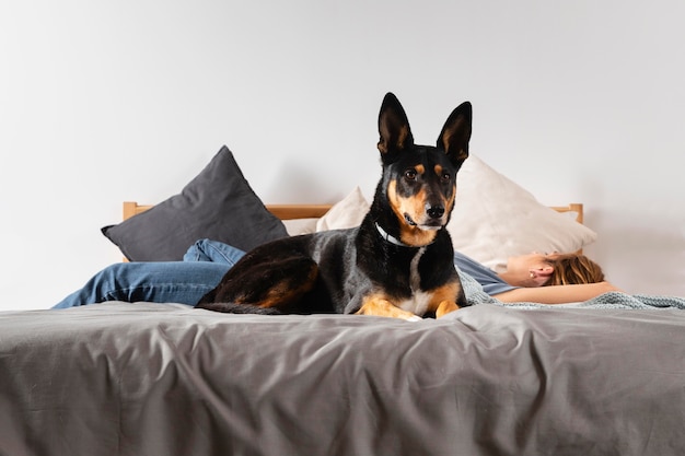 フルショットの犬とベッドの上の女性