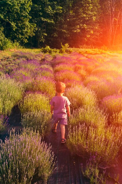 Full shot kid in lavender field