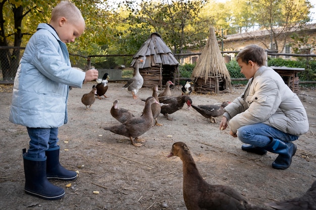 Бесплатное фото Полный снимок детей, кормящих птиц