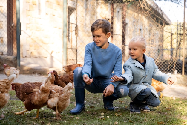 Full shot kids feeding chickens