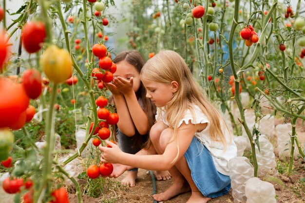 Full shot kids picking tomatoes