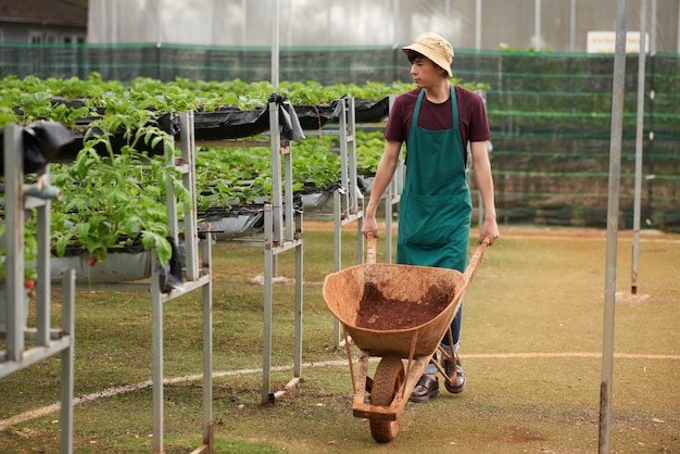 Free photo full shot of male gardener heading towards camera pushing the waggon with soil