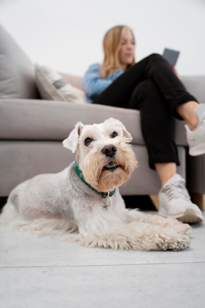 Full shot woman and cute dog