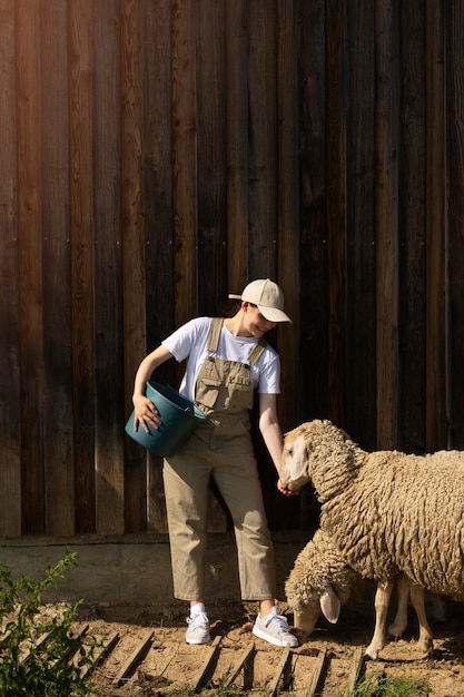 かわいい羊に餌をやるフルショットの女性