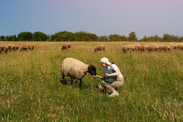 フィールドで羊に餌をやるフルショットの女性
