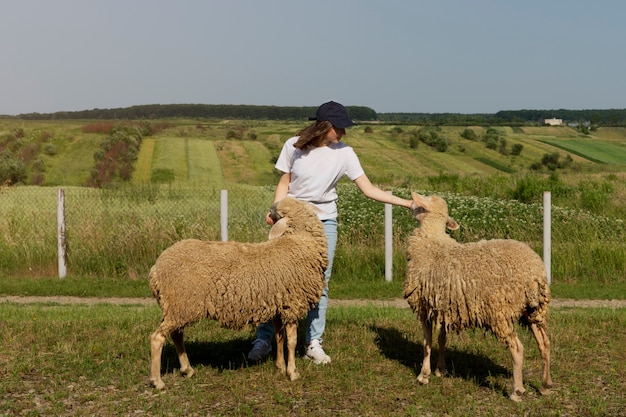 Full shot woman feeding sheep outdoors