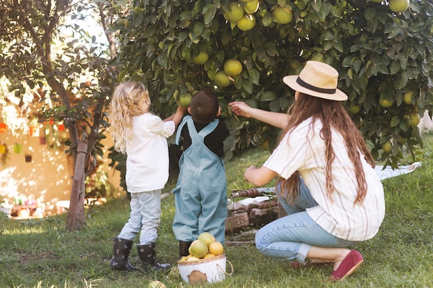 Full shot  woman and kids picking fruits