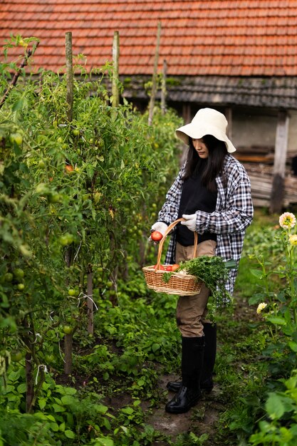 Full shot woman picking tomatoes