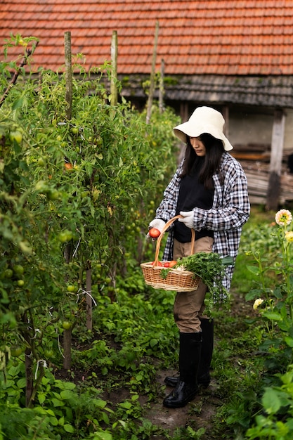 full shot woman picking tomatoes
