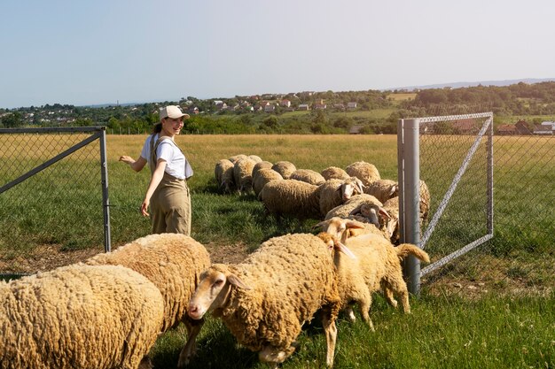 Full shot woman taking care of sheep