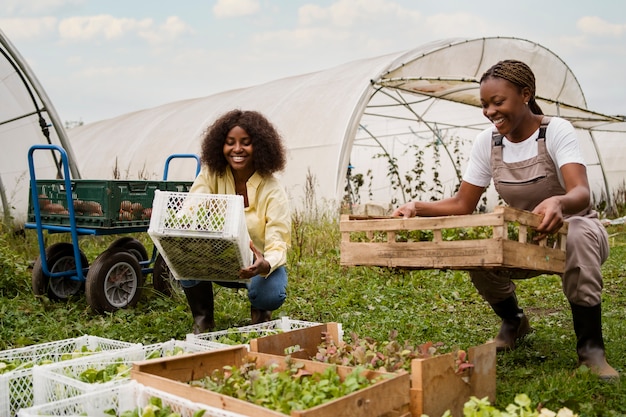 Foto gratuita donne a tutto campo che lavorano insieme