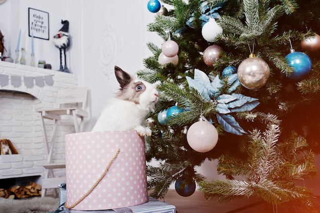새 해 나무 아래 선물 상자에 재미있는 토끼 행복한 겨울 휴가 개념