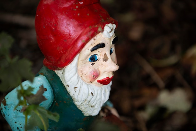 Funny garden gnome outdoors