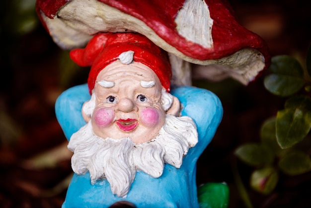 Funny garden gnome outdoors