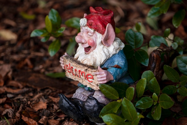 Funny garden gnome outdoors