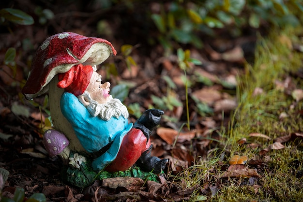 Funny garden gnome with copy space
