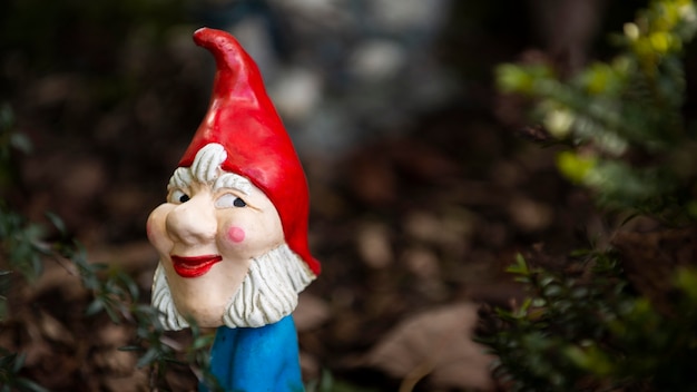 Free photo funny garden gnome with copy space