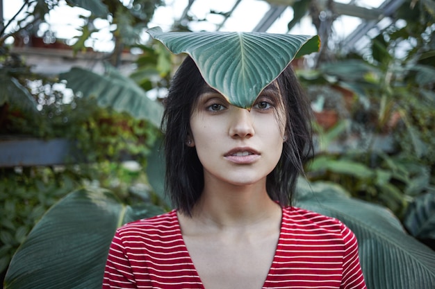 Ragazza divertente di aspetto caucasico in posa nel verde con grande foglia verde sulla fronte. foto di attraente giovane giardiniere femminile in abito casual che lavora in serra, prendendosi cura di varie piante