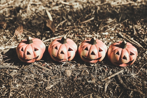 Free photo funny pumpkins placed on ground