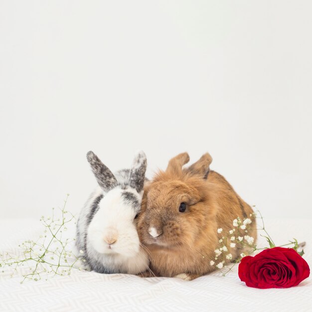 Funny rabbits near flowers on bed sheet 
