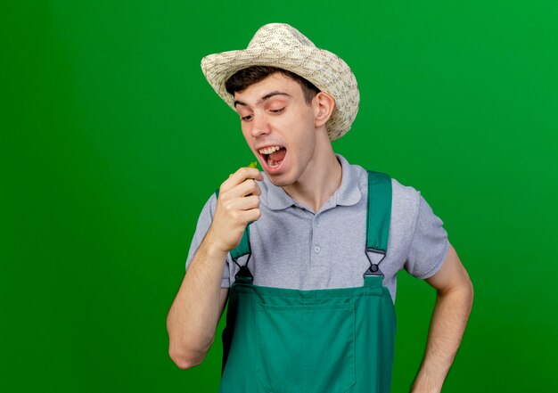 Funny young male gardener wearing gardening hat looks and pretends to bite hot pepper isolated on green background with copy space