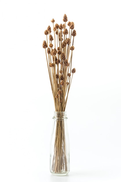 Garden bush vintage decoration herb
