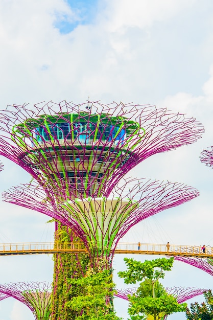 Garden by the bay