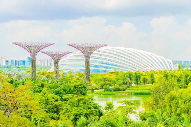 Garden by the bay