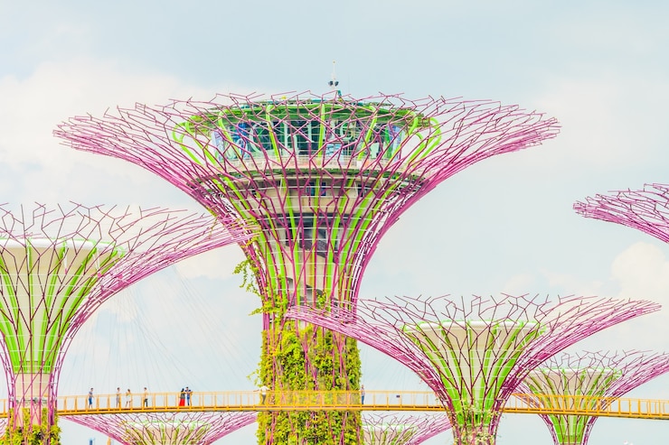 Free Photo garden by the bay