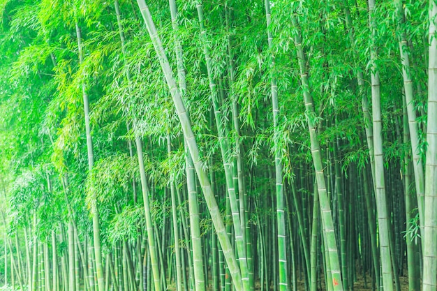 Садовое украшение фарфор японский лес