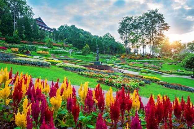 정원 꽃, Mae fah luang 정원은 태국 치앙 라이의 Doi Tung에 있습니다.