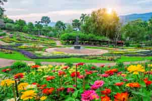 Free photo garden flowers, mae fah luang garden locate on doi tung in chiang rai,thailand.