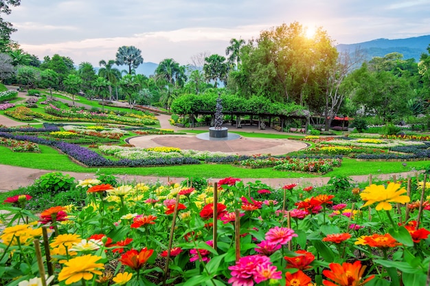 정원 꽃, Mae fah luang 정원은 태국 치앙 라이의 Doi Tung에 있습니다.