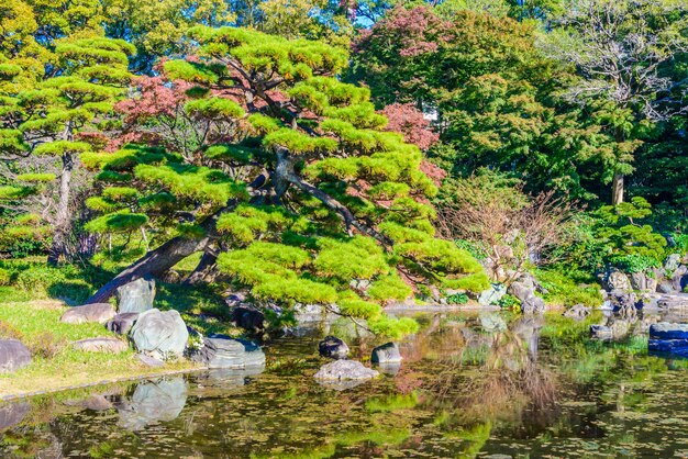 Garden in the park at imperial palace