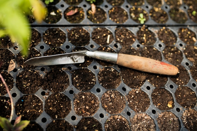 Garden throwel with seedlings in greenhouse