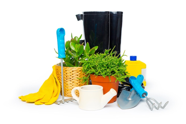 Free Photo garden tools isolated on white