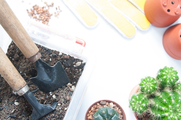 Garden tools with pot of cactus on white background