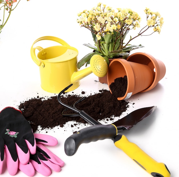 Free photo garden tools