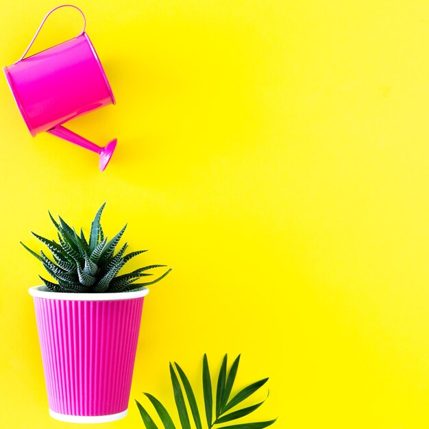 Садовая лейка с кактусами и цветочными горшками пурпурного цвета на желтом фоне Креативная планировка по уходу за домашними цветами с местом для копирования