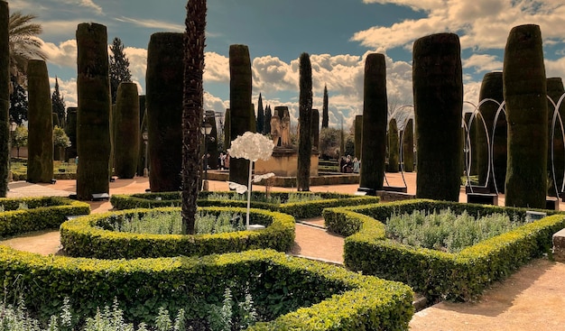 Free photo a garden with a tree in the middle and a sign that says'alhambra'on it