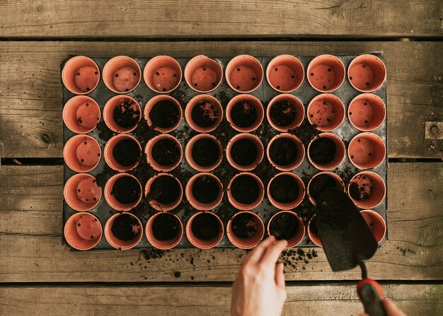 Gardener adding soil to flower pots flatlay