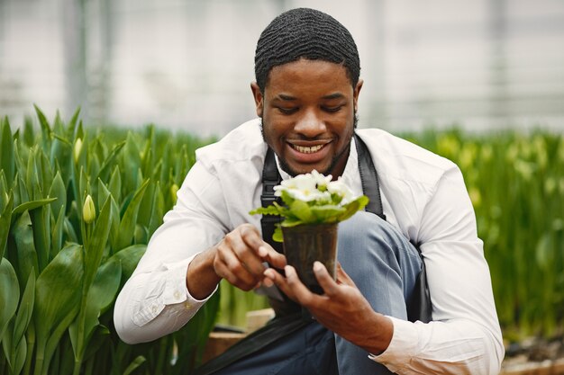 Gardener in an apron. African guy in a greenhouse. Flowers in a pot