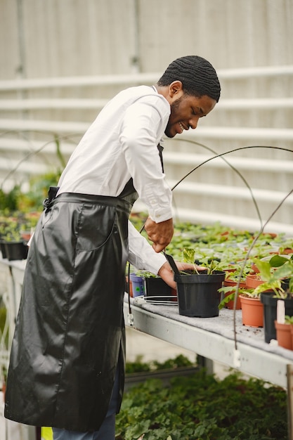 Free photo gardener in an apron. african guy in a greenhouse. flowers in a pot.